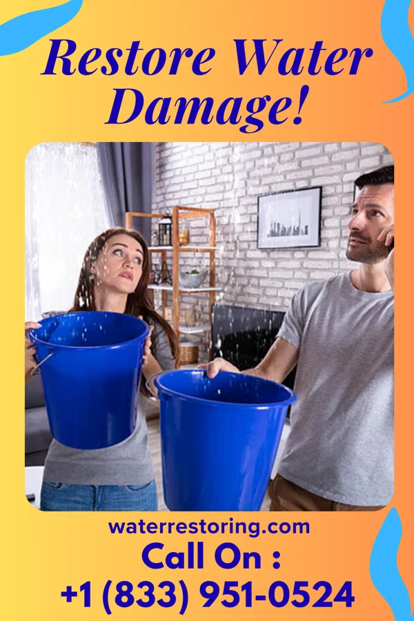 water restoration Pinnacle Flood Cleanup Services Mancelona