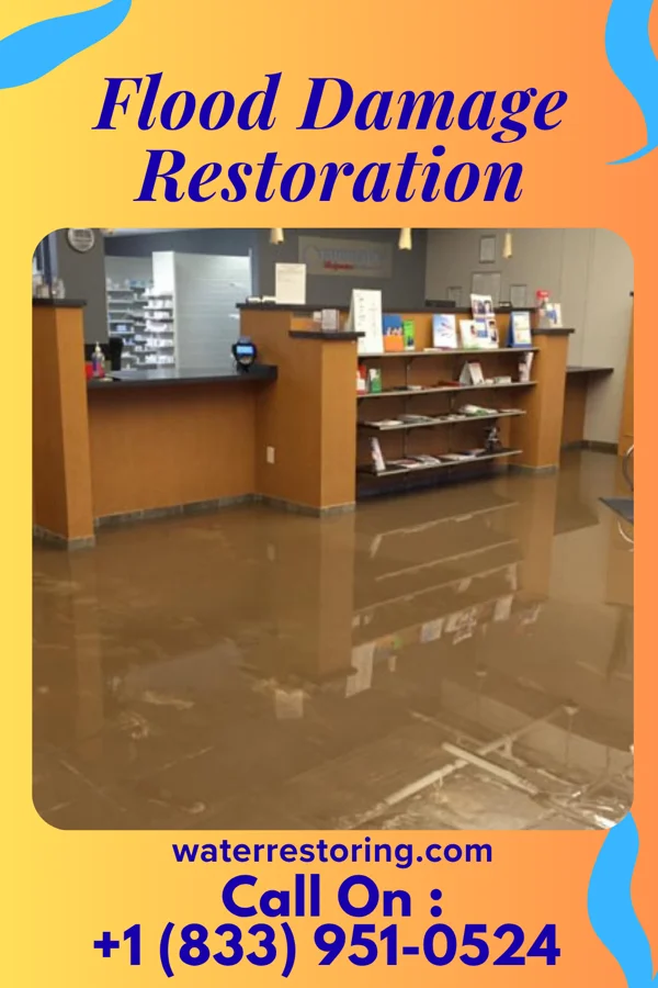 Flood Damage Restoration in Mancelona, MI